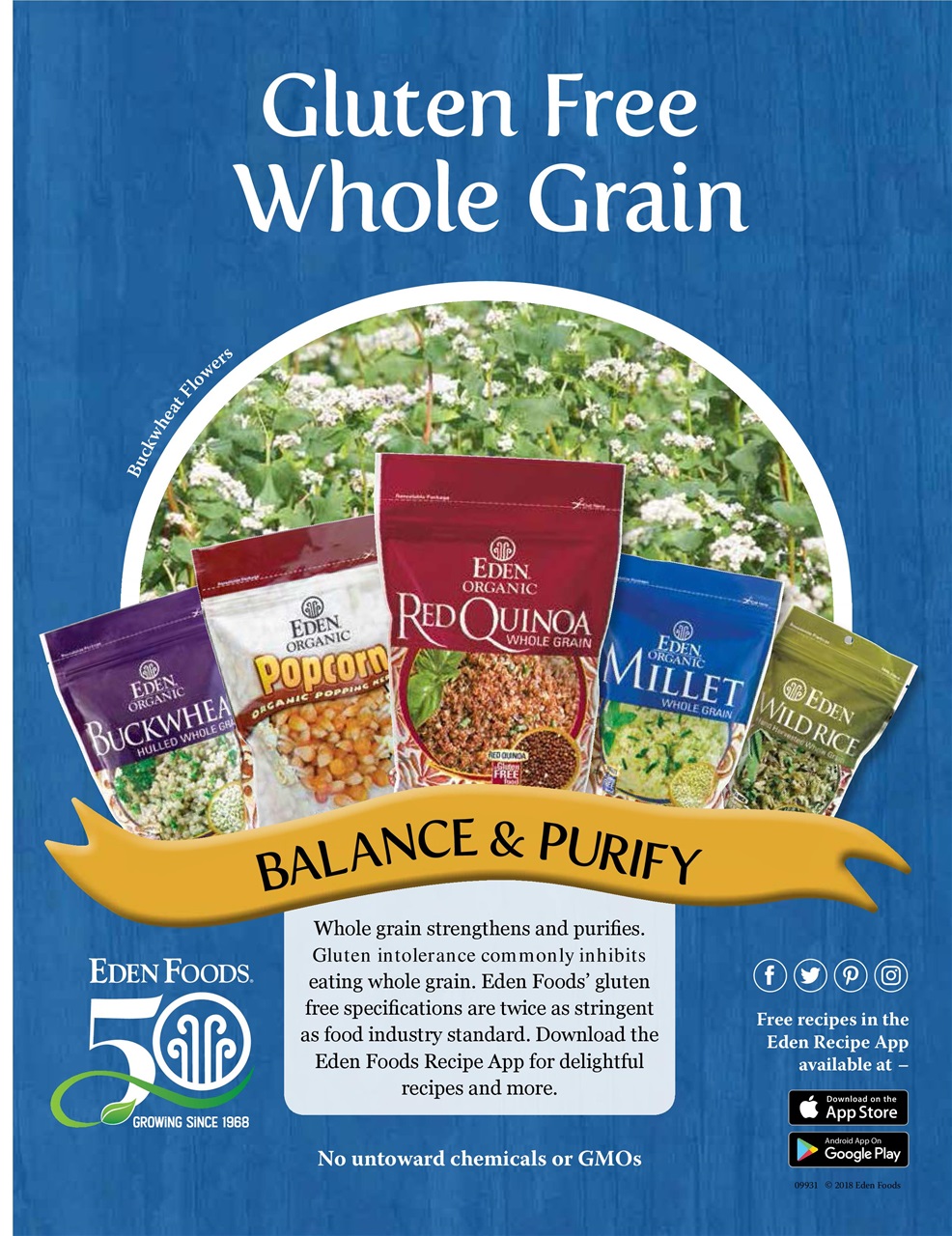 Gluten Free & More Preview Pages