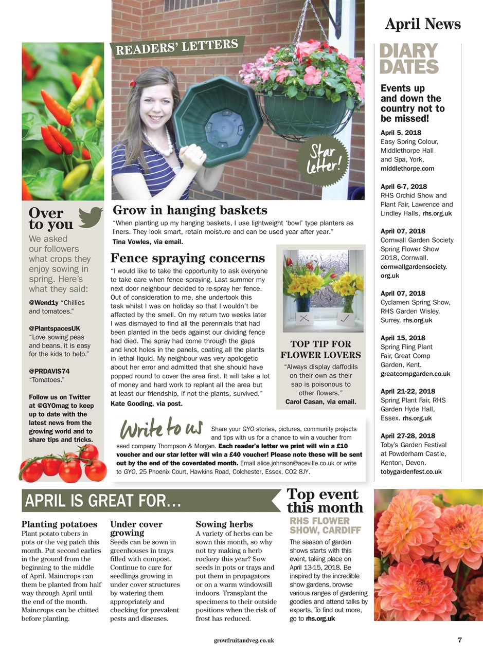 Grow Your Own Preview Pages