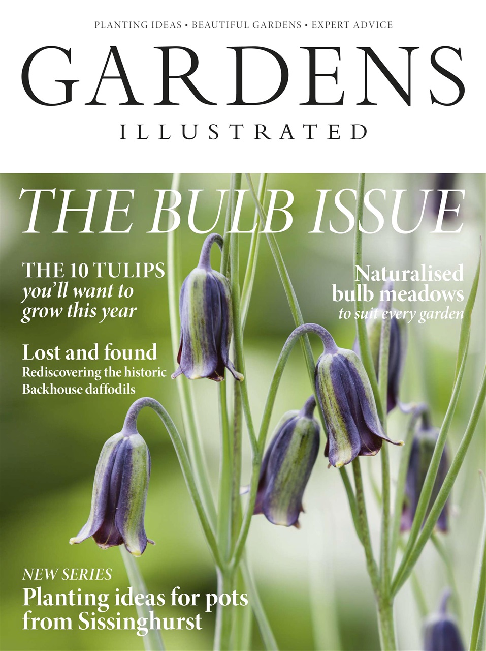 Gardens Illustrated Preview Pages