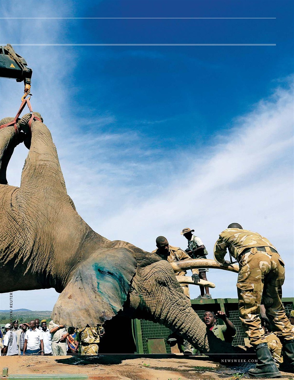 Newsweek International Preview Pages