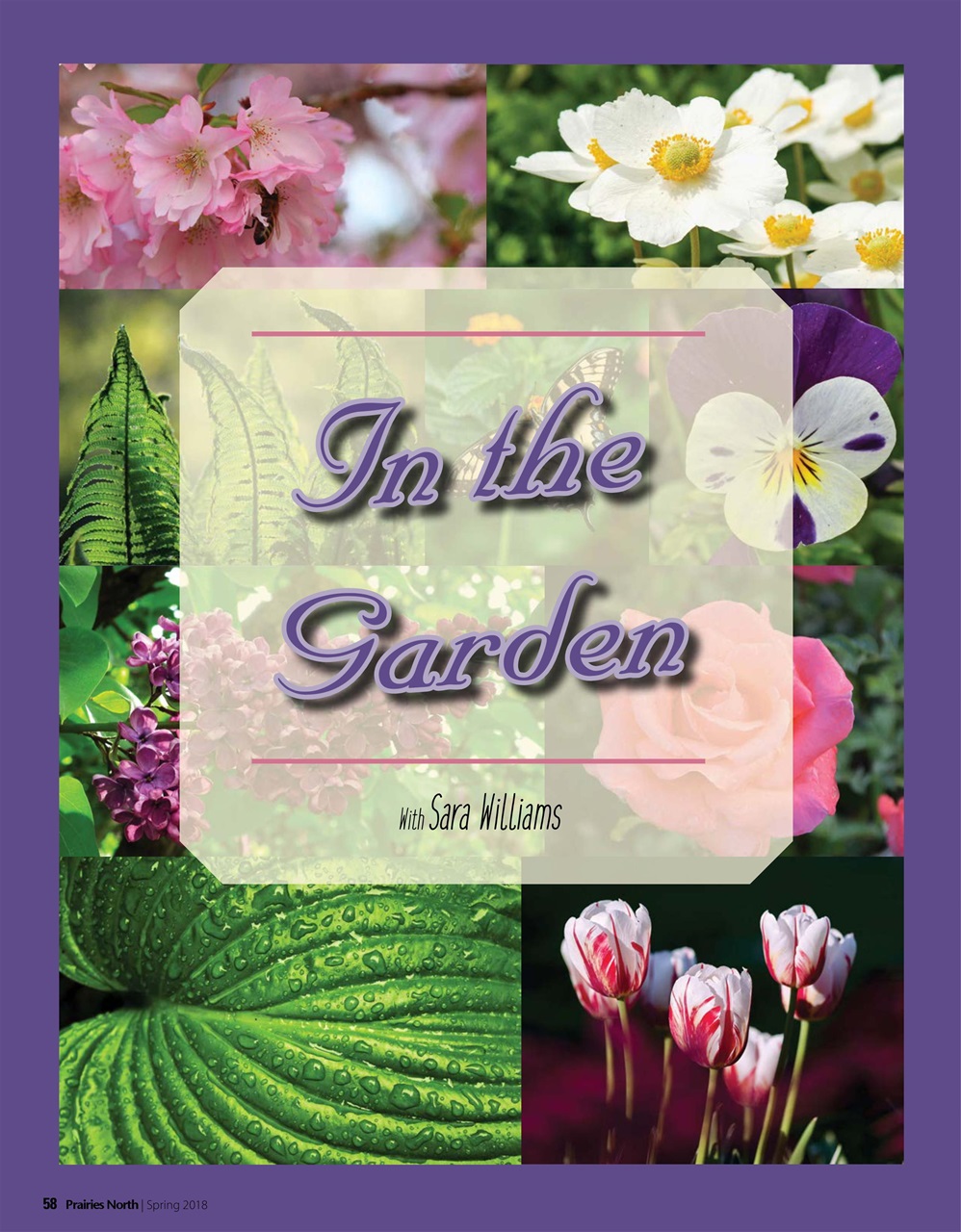 Prairies North Magazine Preview Pages