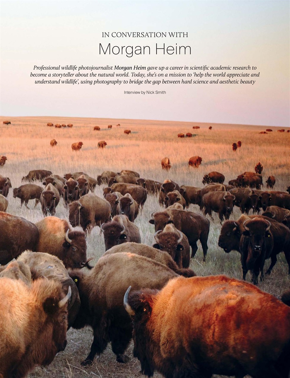 Outdoor Photography Preview Pages