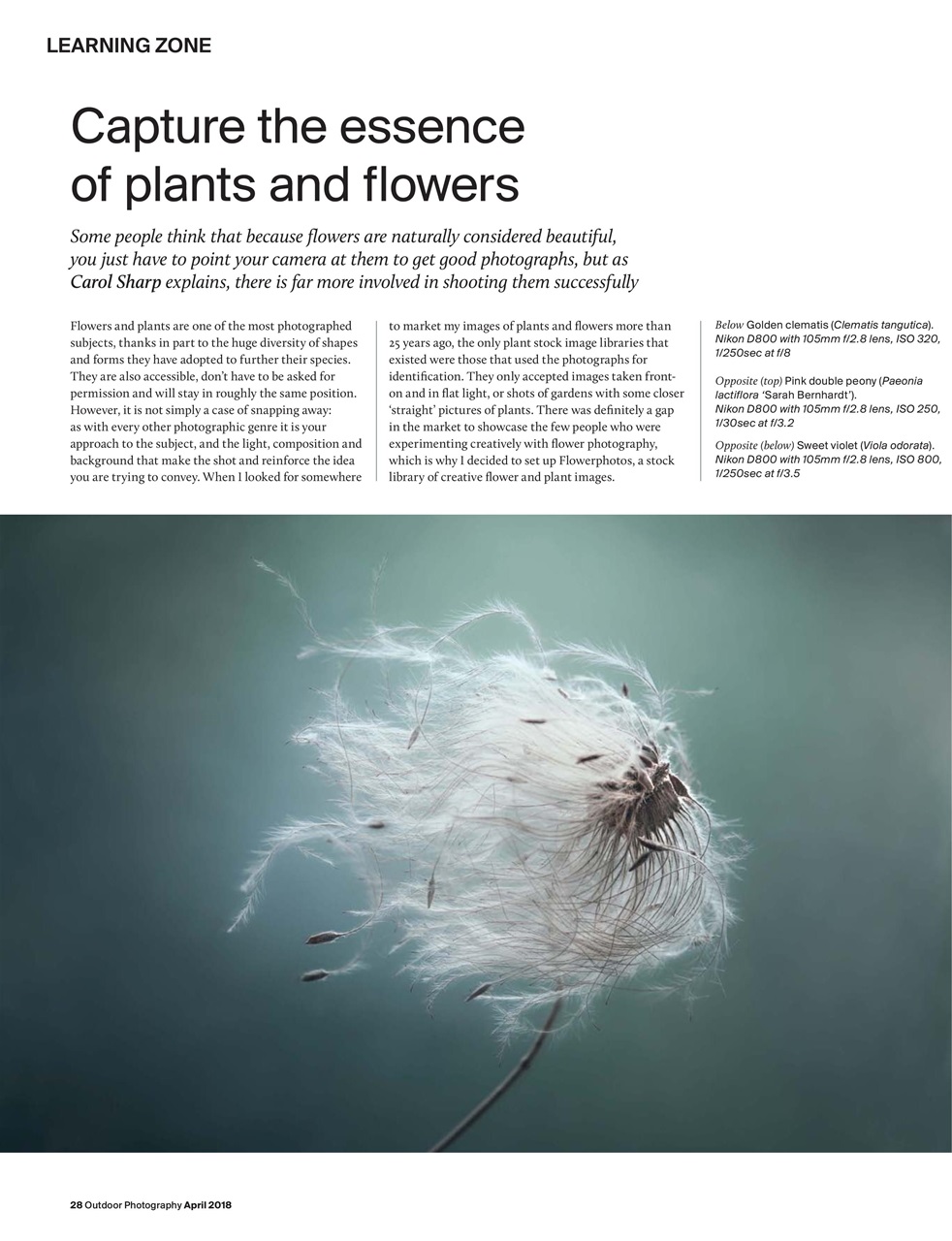 Outdoor Photography Preview Pages
