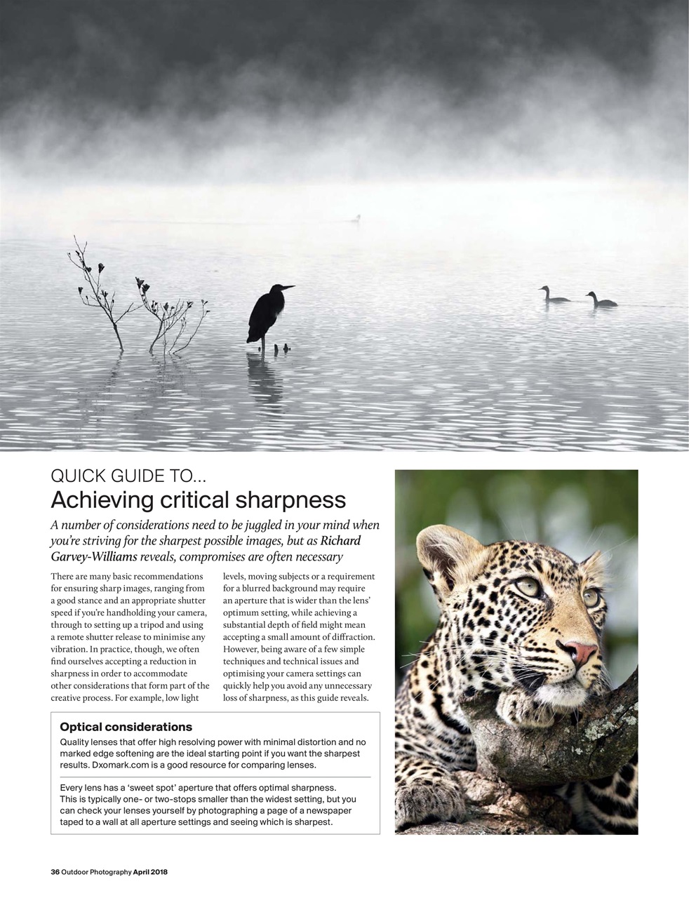Outdoor Photography Preview Pages
