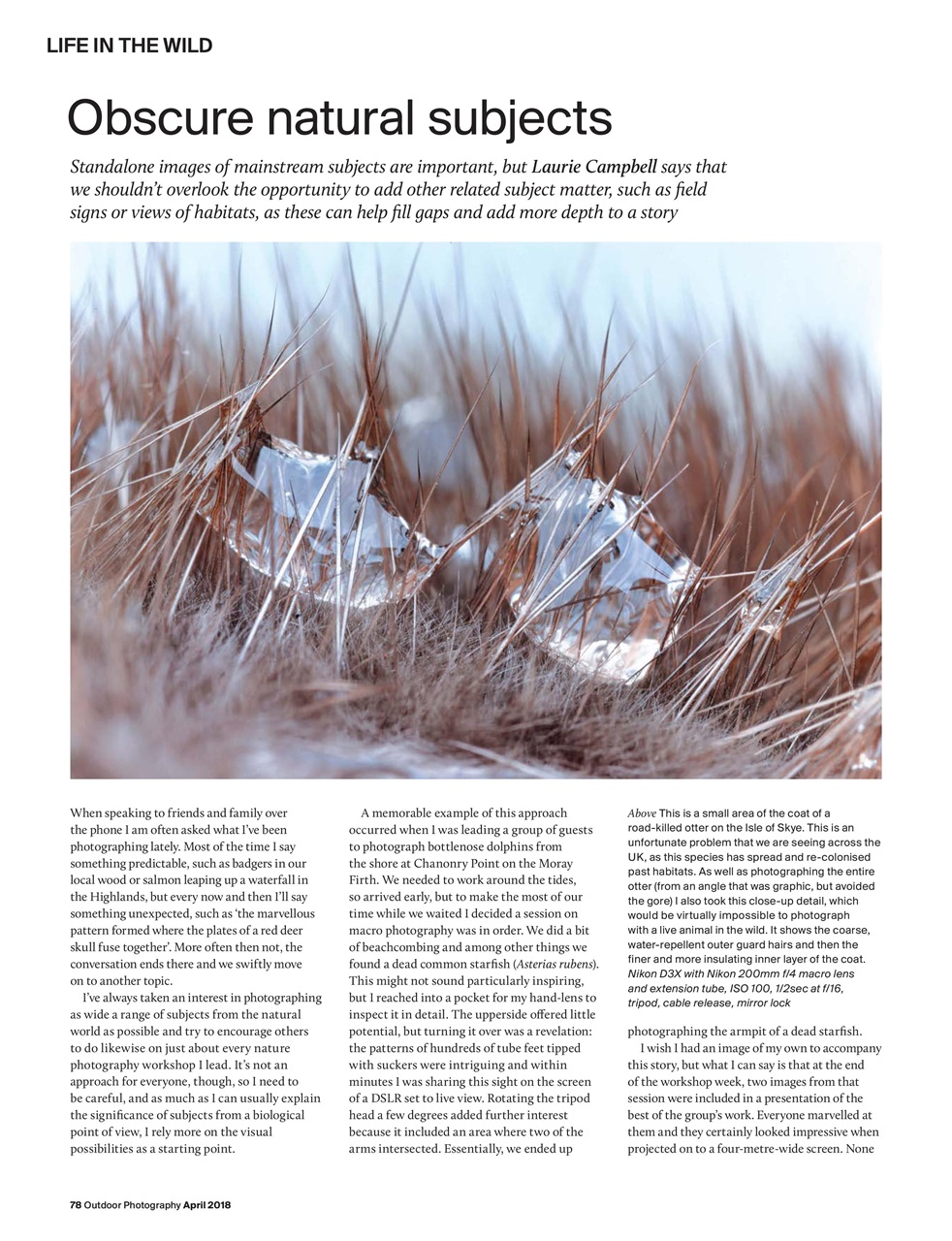 Outdoor Photography Preview Pages