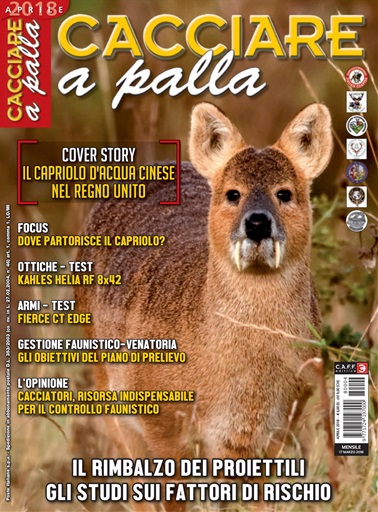 Caccia Magazine issue 