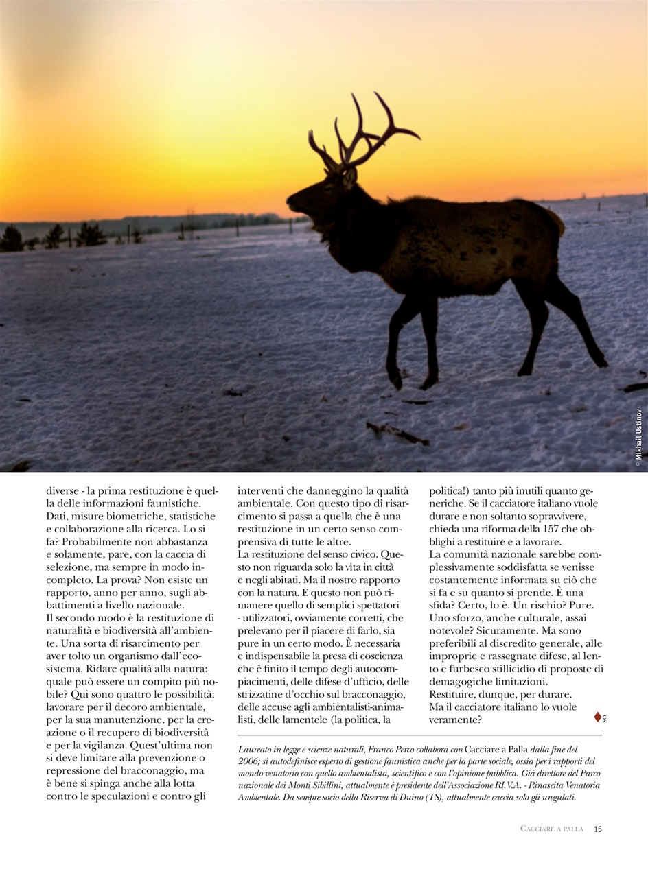 Caccia Magazine Preview Pages