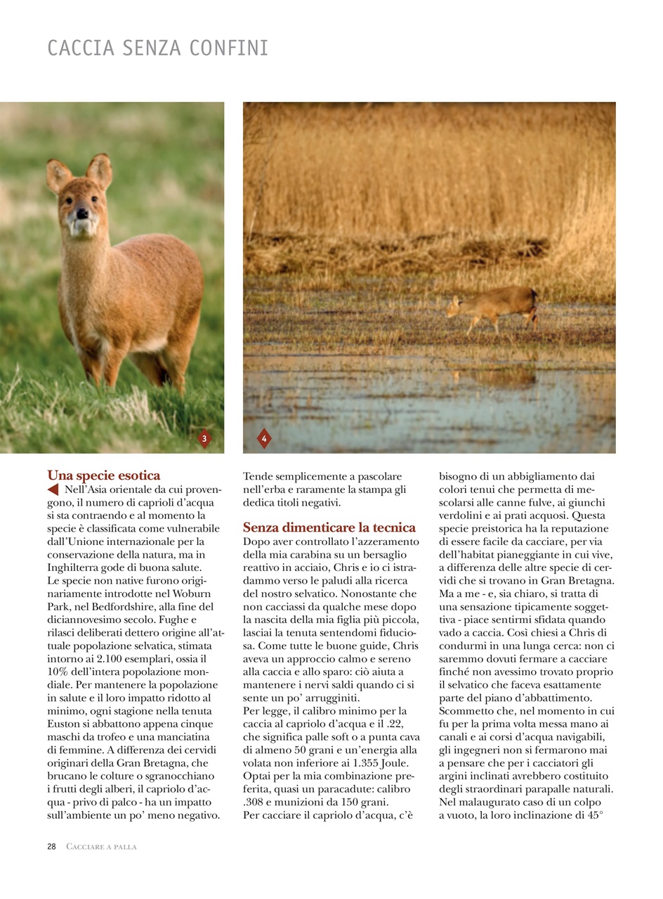 Caccia Magazine Preview Pages