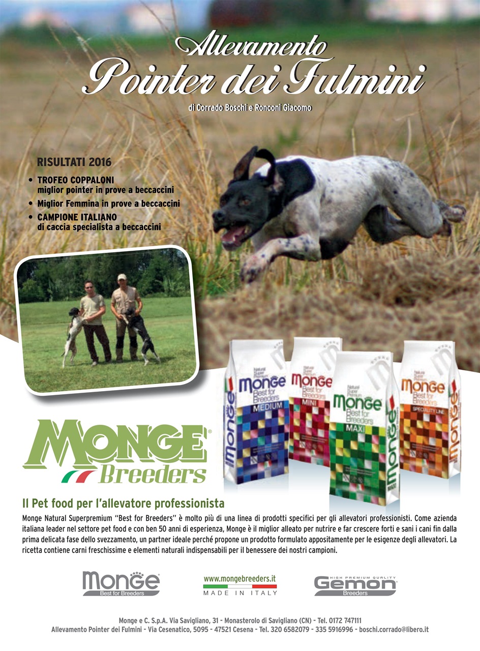 BECCACCE CHE PASSIONE Preview Pages