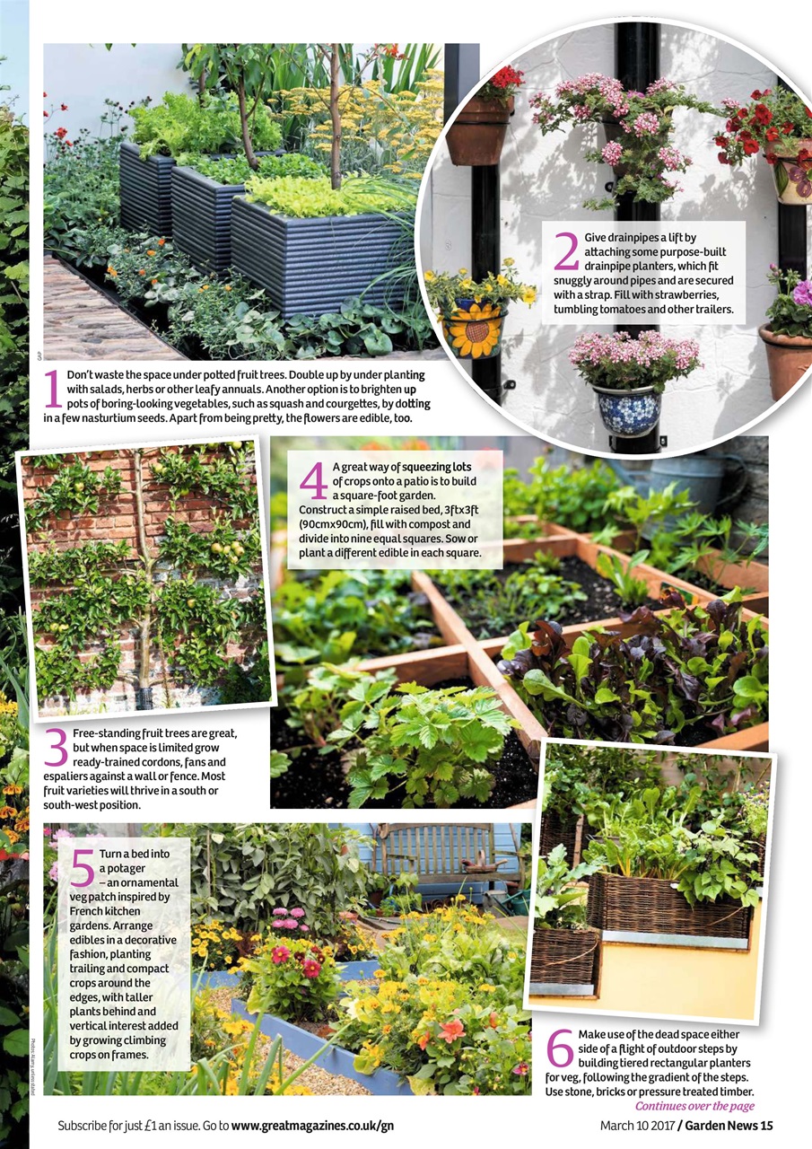 Garden News Preview Pages
