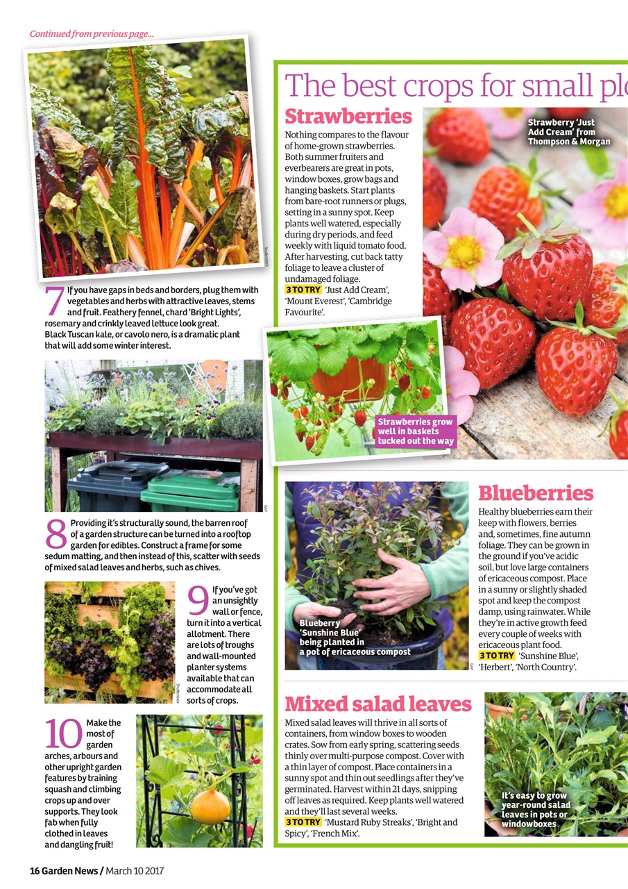 Garden News Preview Pages