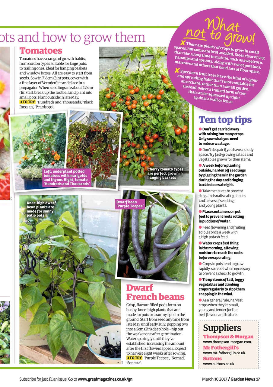 Garden News Preview Pages