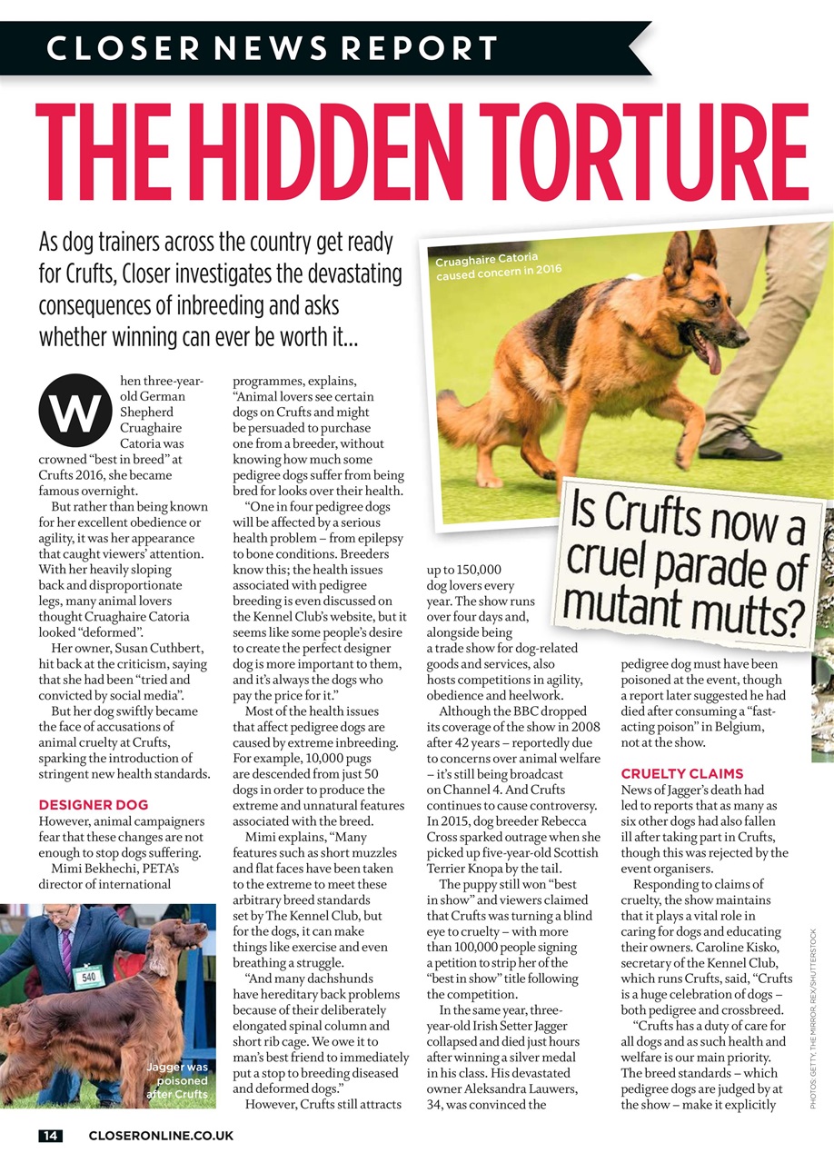 Closer Preview Pages