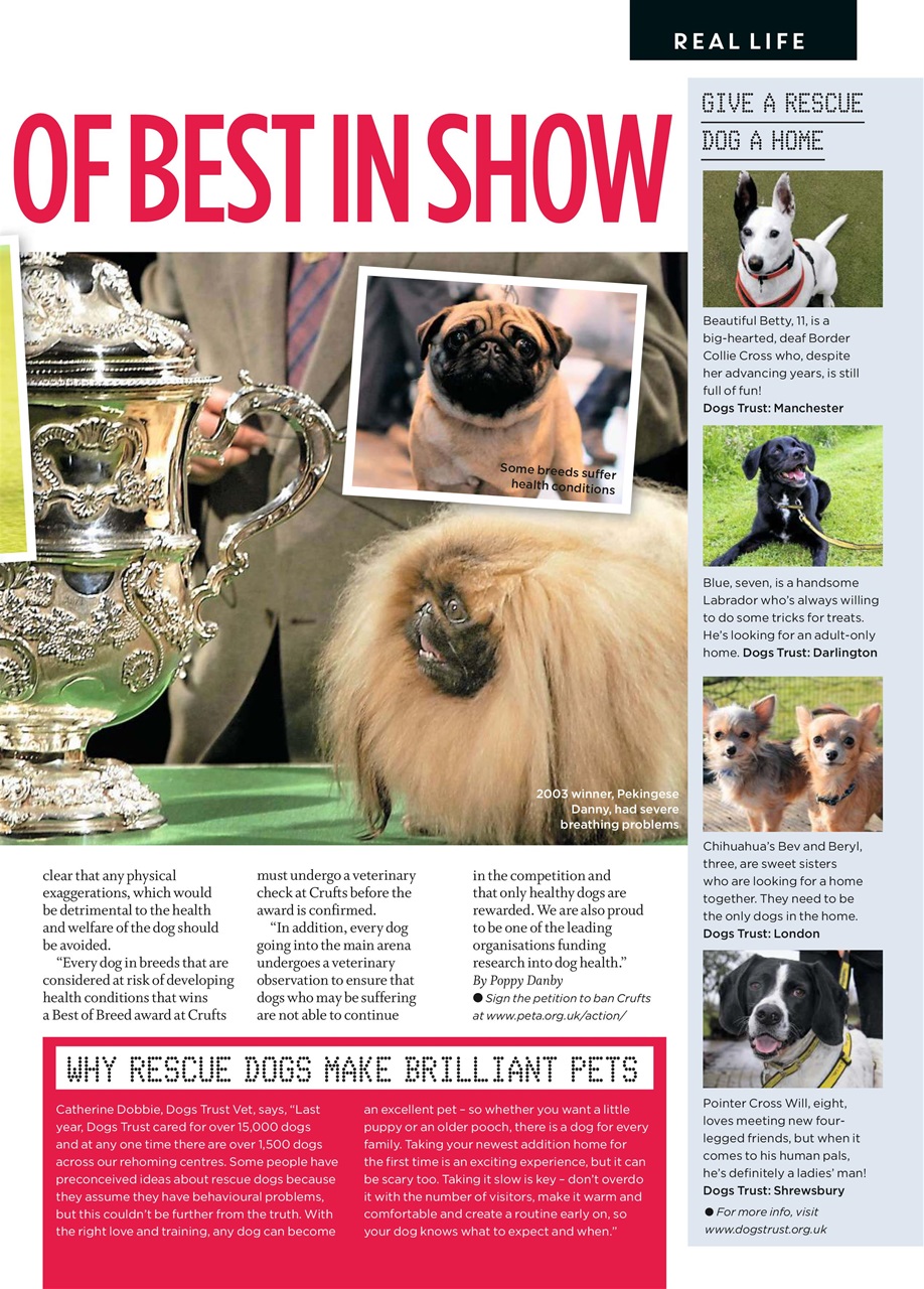 Closer Preview Pages