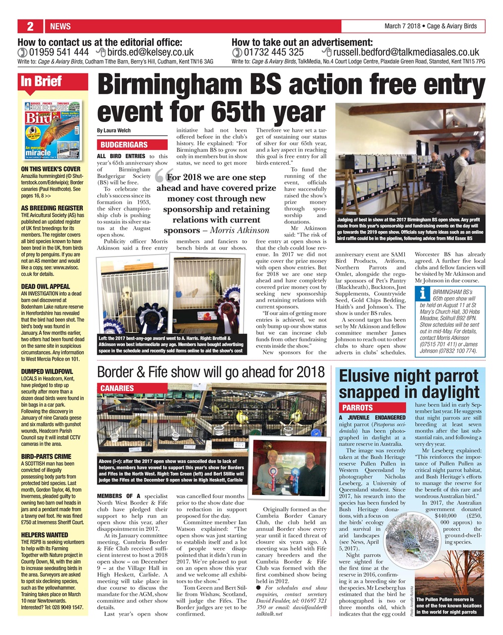 Cage & Aviary Birds Preview Pages