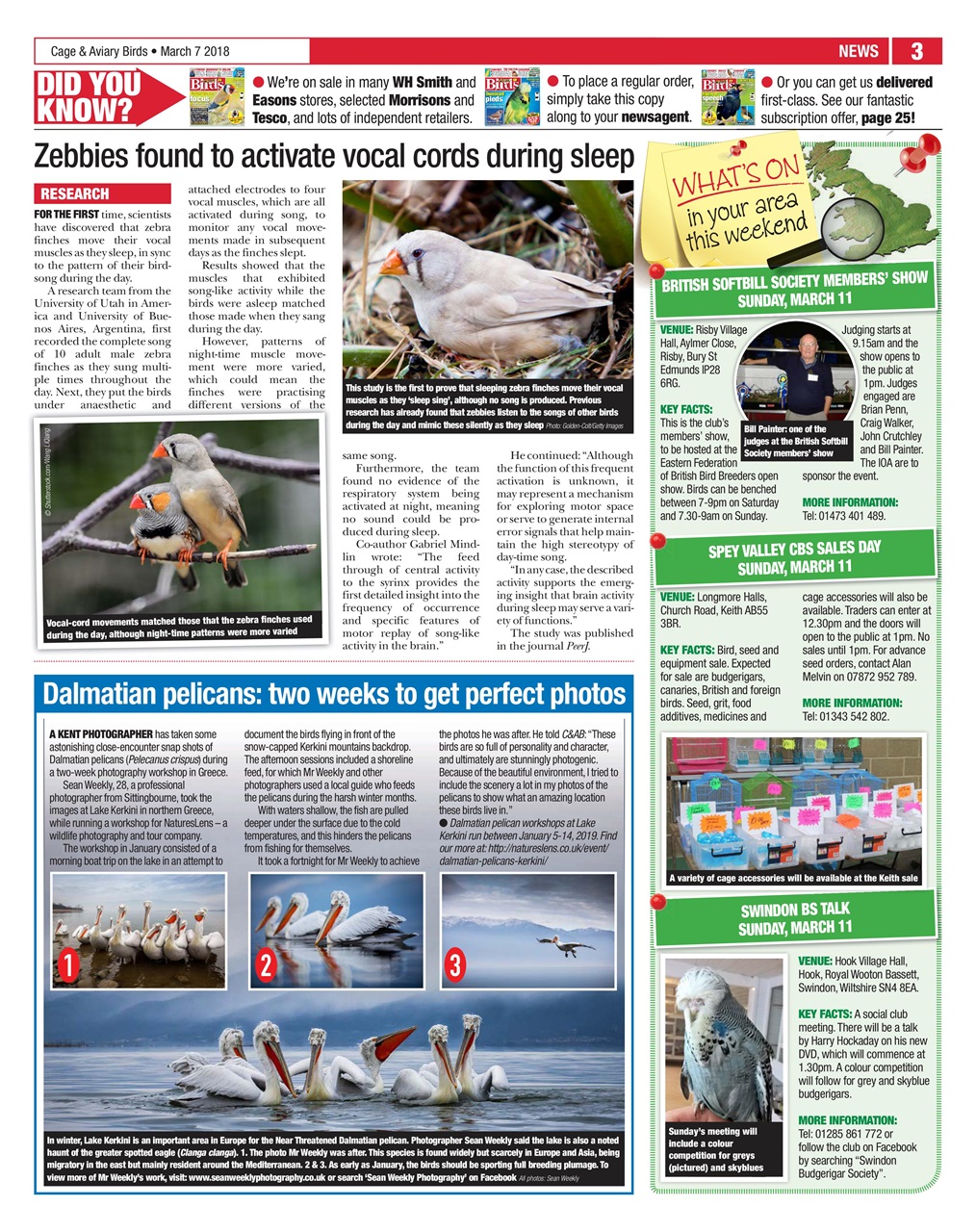 Cage & Aviary Birds Preview Pages