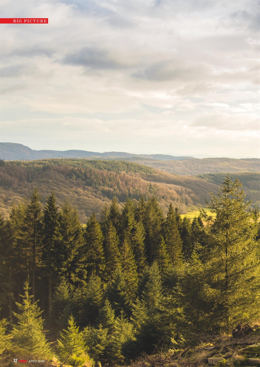 Mountain Bike Rider Preview Pages