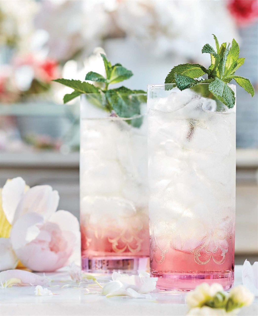 LCBO Food & Drink Preview Pages