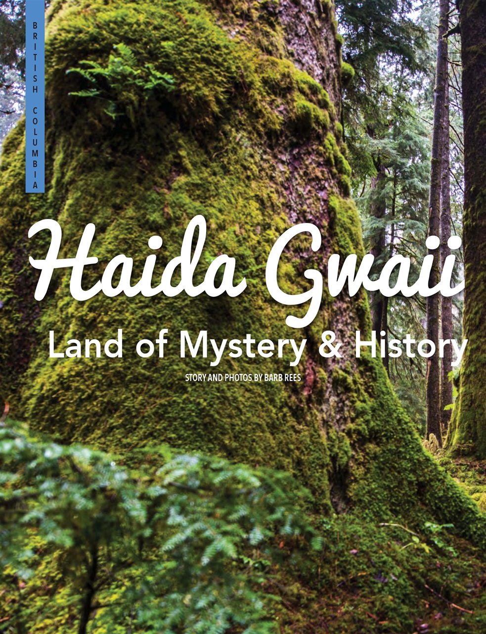 Snowbirds & RV Travelers Preview Pages