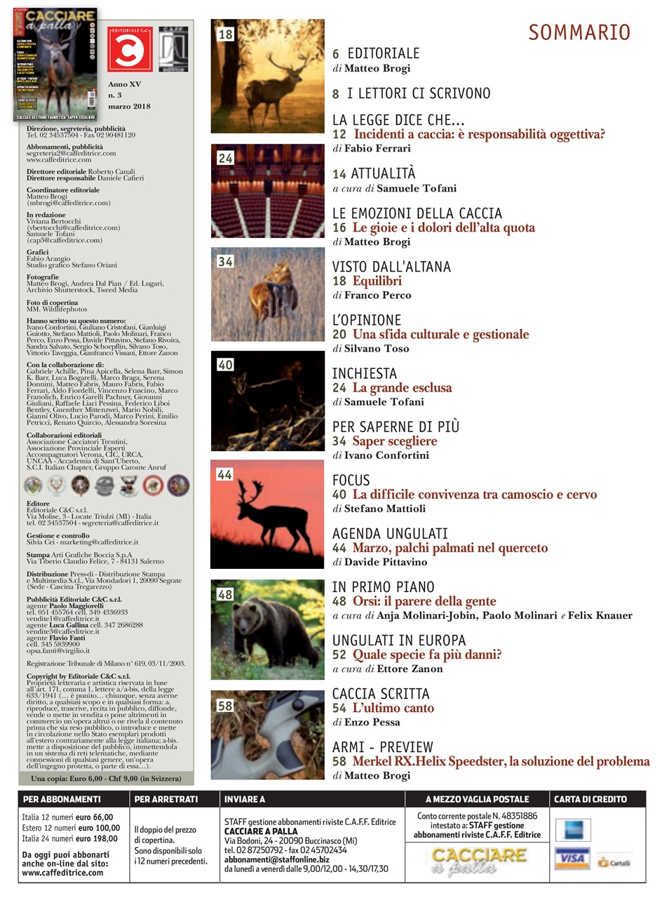 Caccia Magazine Preview Pages