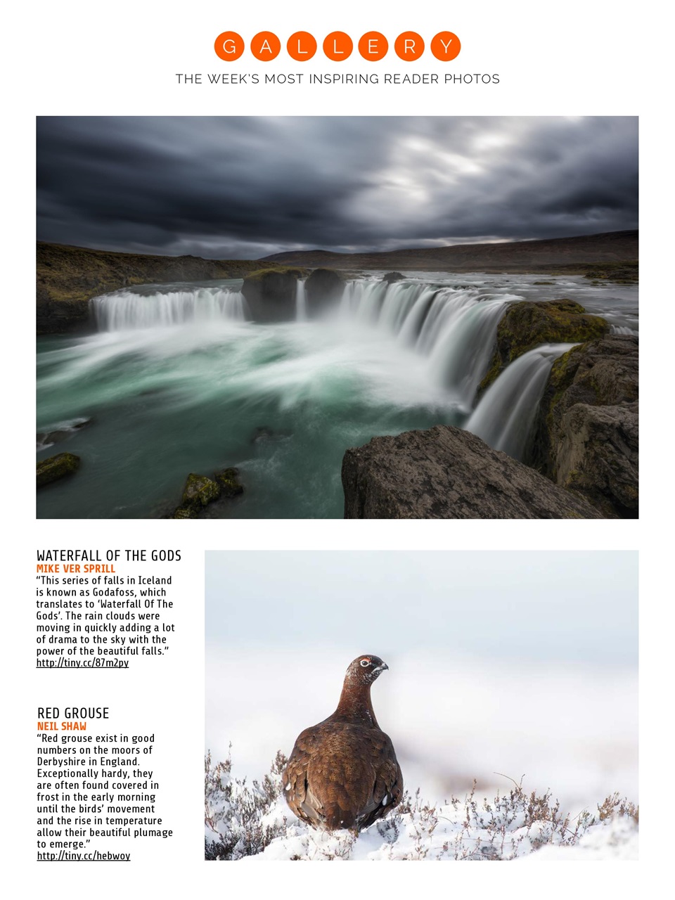 Photography Week Preview Pages