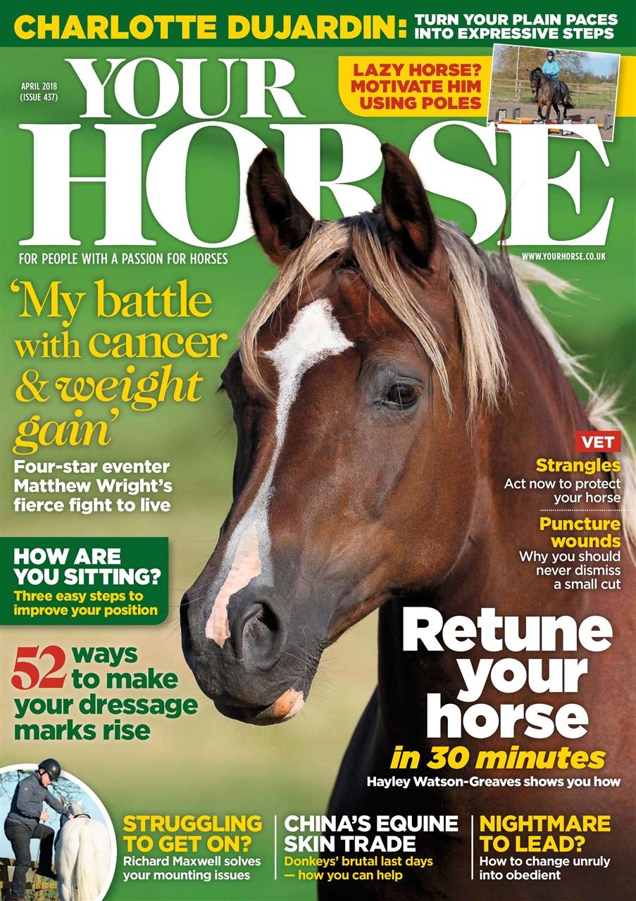 Your Horse Preview Pages