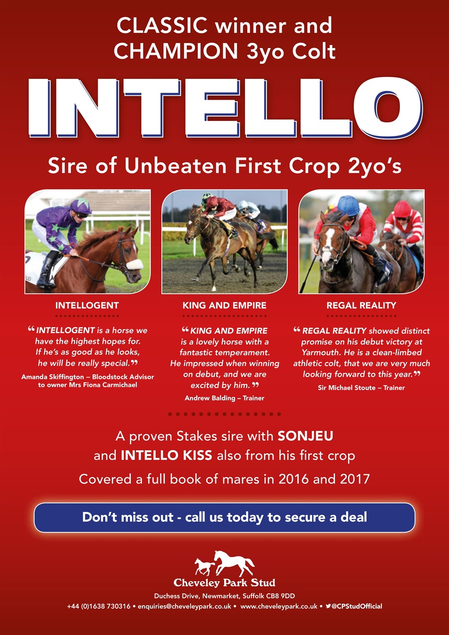 The Owner Breeder Preview Pages