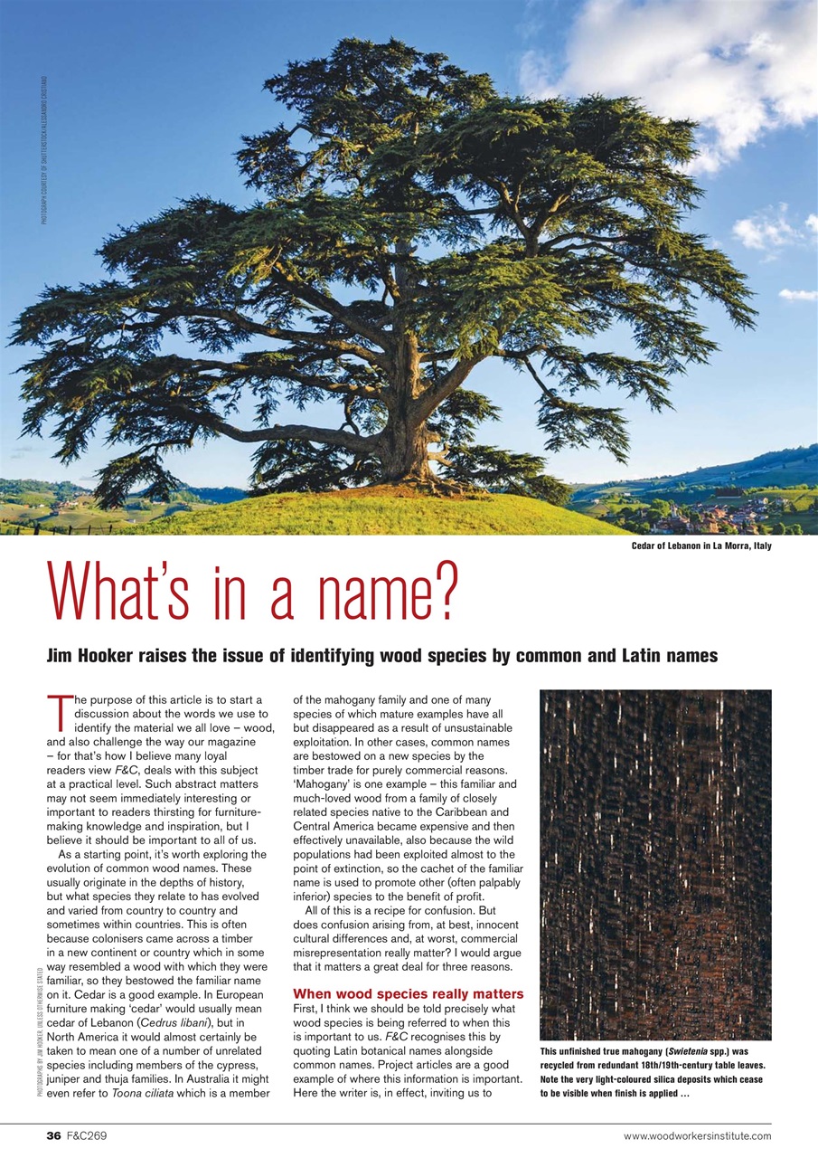 Furniture & Cabinetmaking Preview Pages