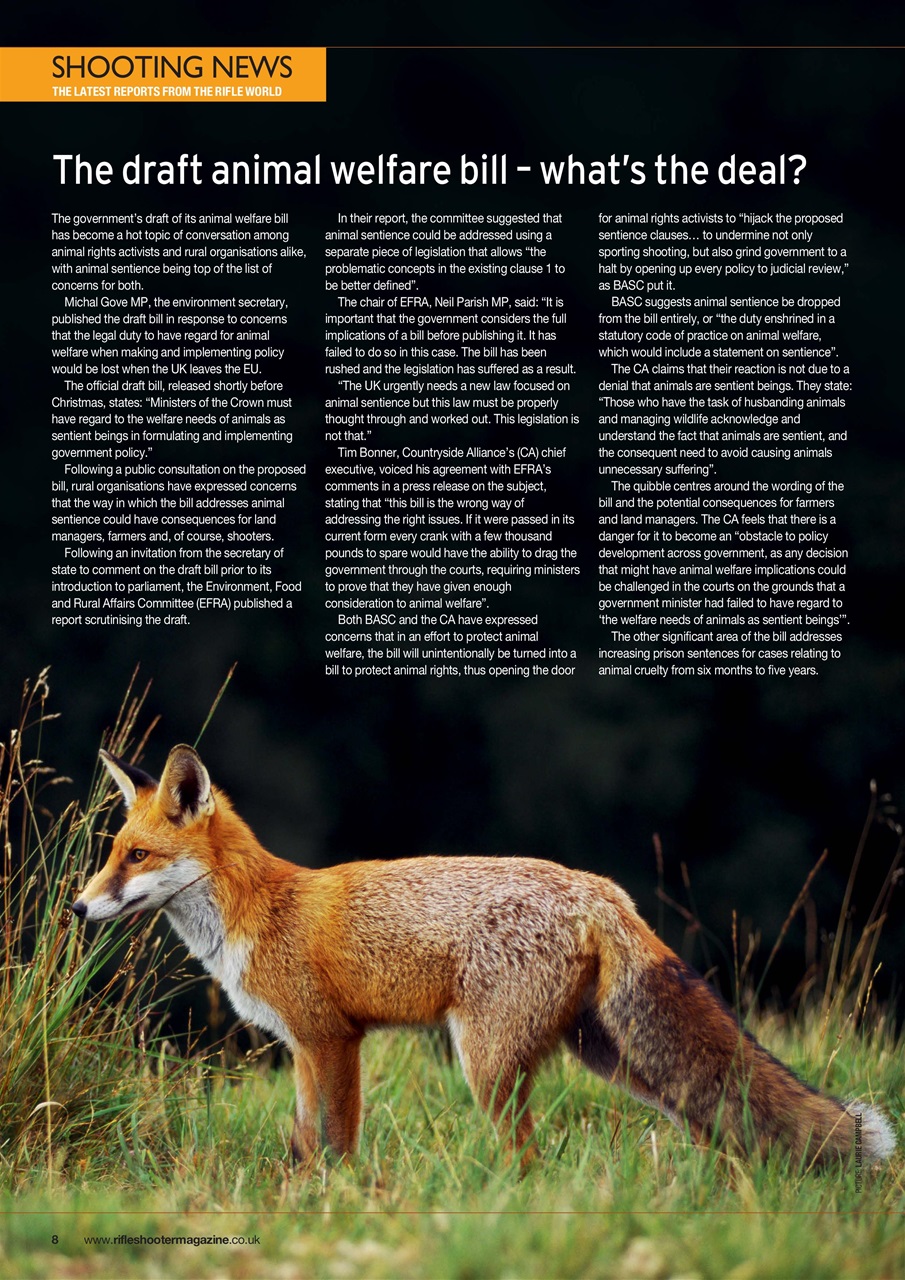 Rifle Shooter Preview Pages