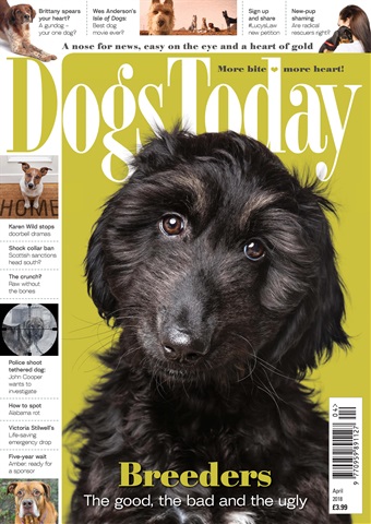 Dogs Today Magazine issue April 2018