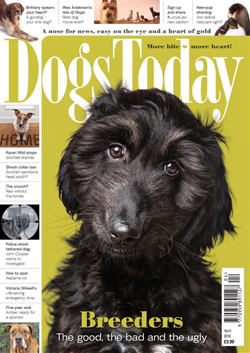 Dogs Today Magazine issue 