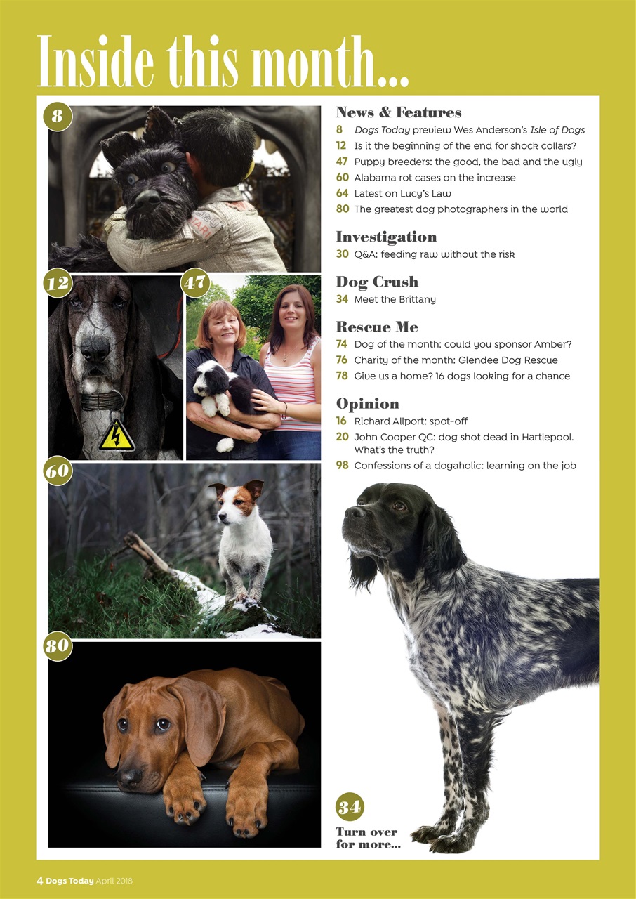 Dogs Today Magazine Preview Pages