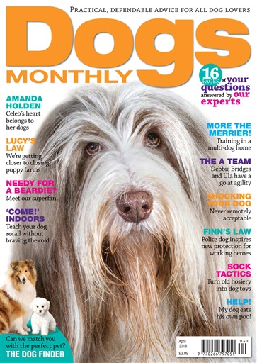 Dogs Monthly issue 