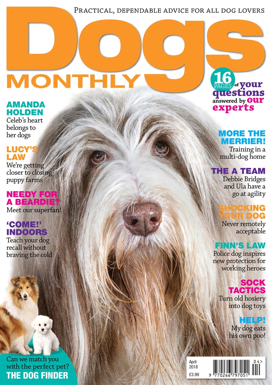 Dogs Monthly Preview Pages