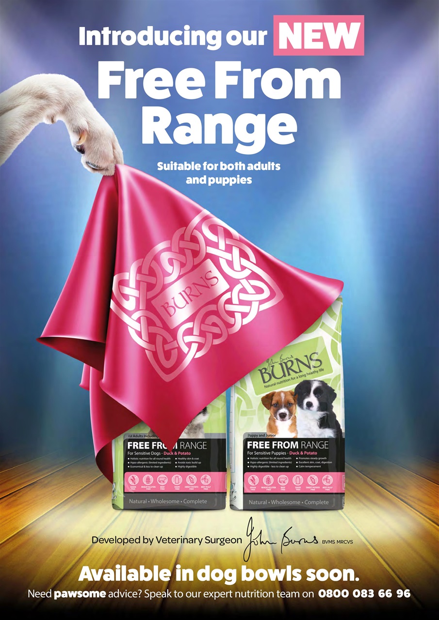 Dogs Monthly Preview Pages