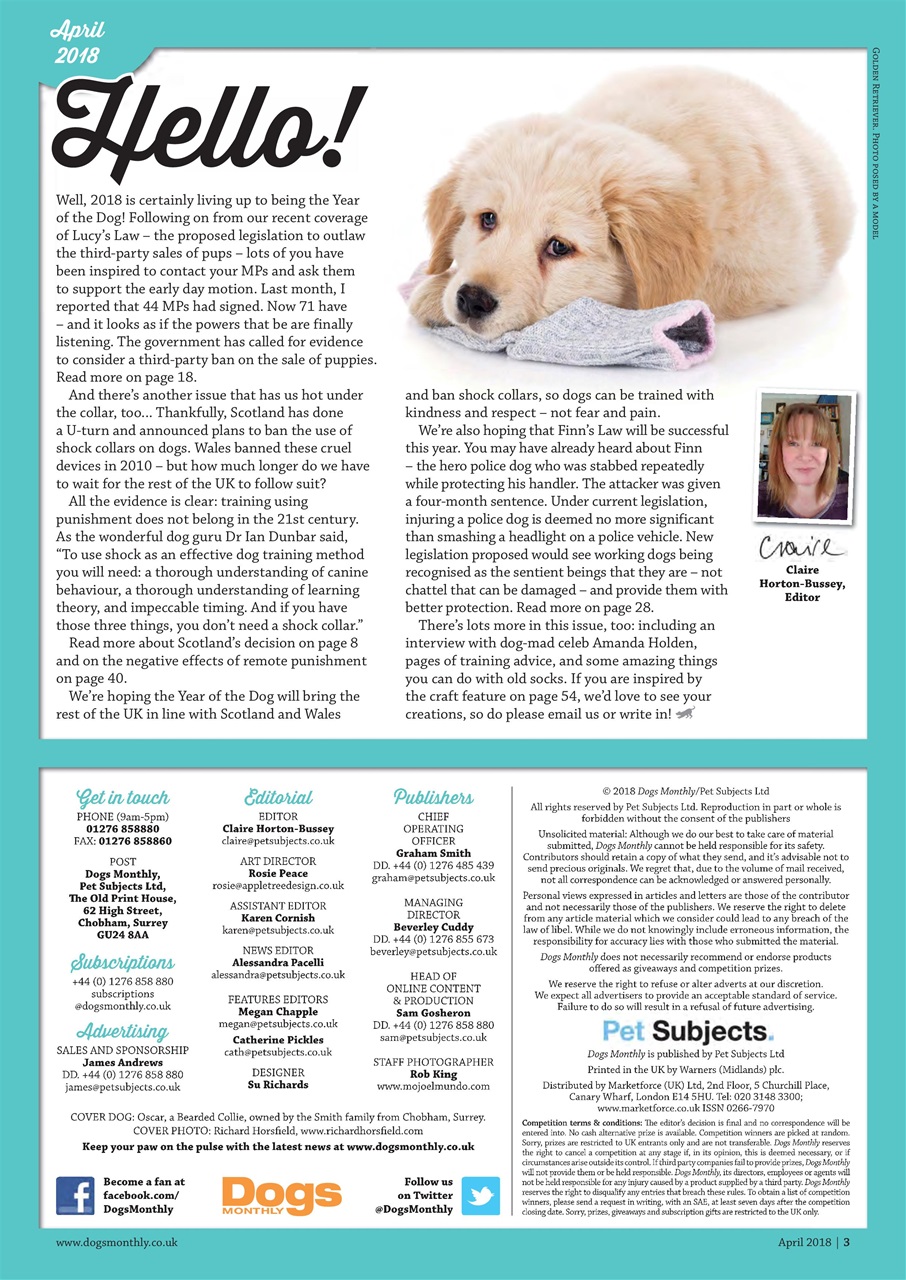 Dogs Monthly Preview Pages