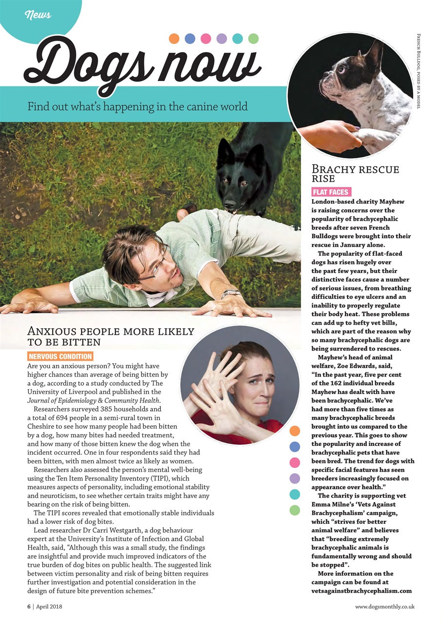 Dogs Monthly Preview Pages