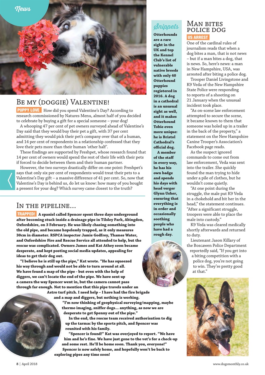 Dogs Monthly Preview Pages