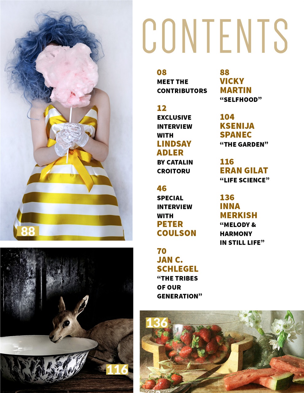 Lens Magazine Preview Pages