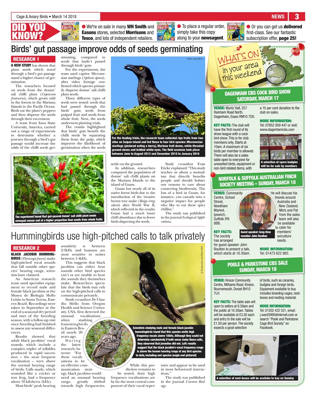 Cage & Aviary Birds Preview Pages