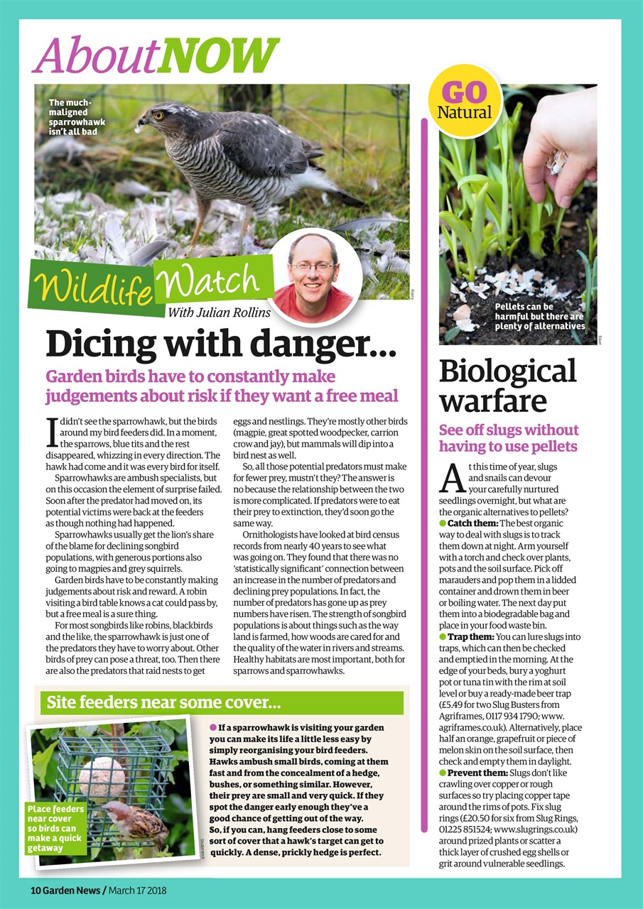Garden News Preview Pages