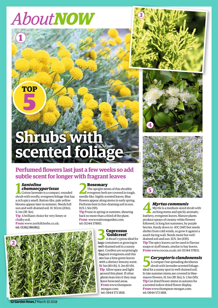 Garden News Preview Pages