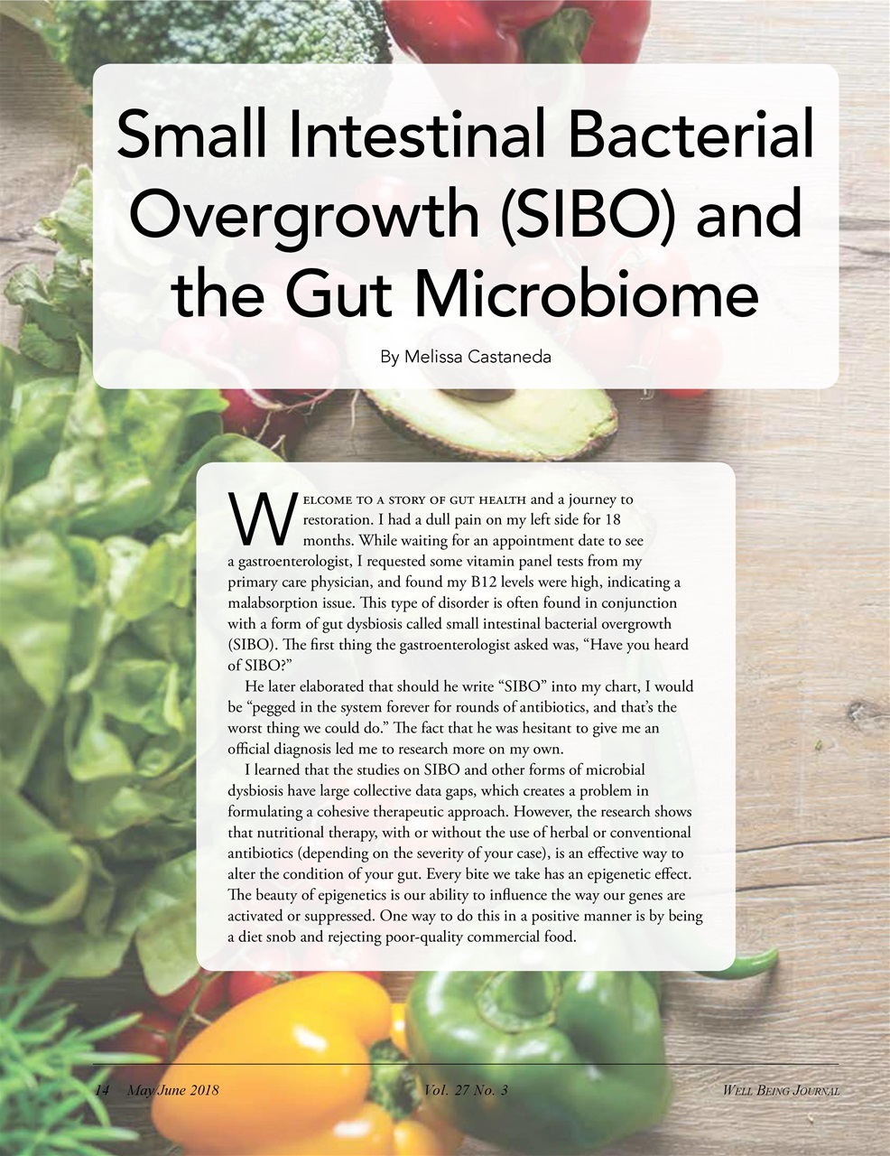 Well Being Journal Preview Pages