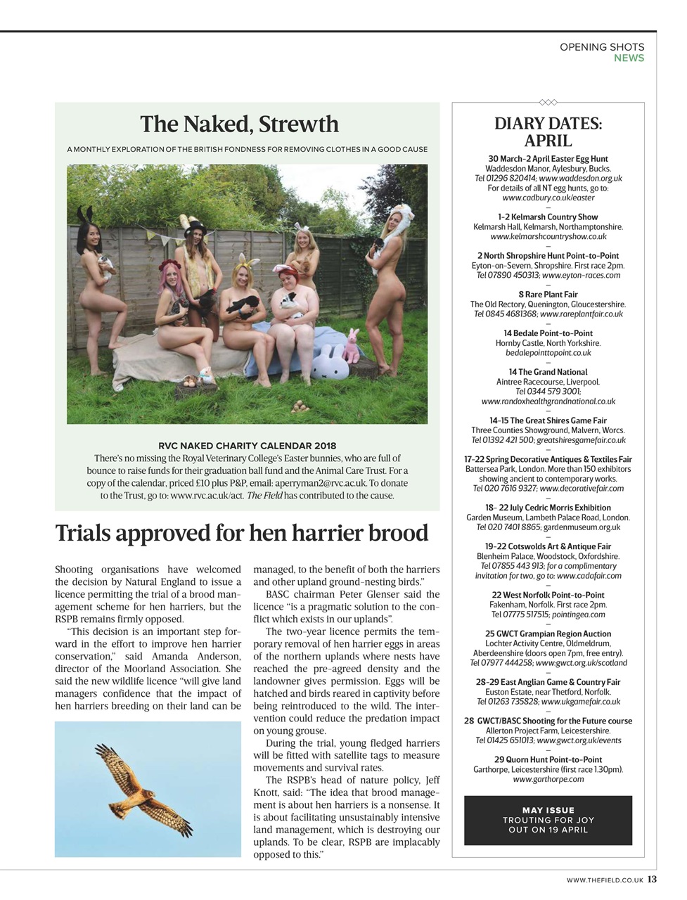 The Field Preview Pages