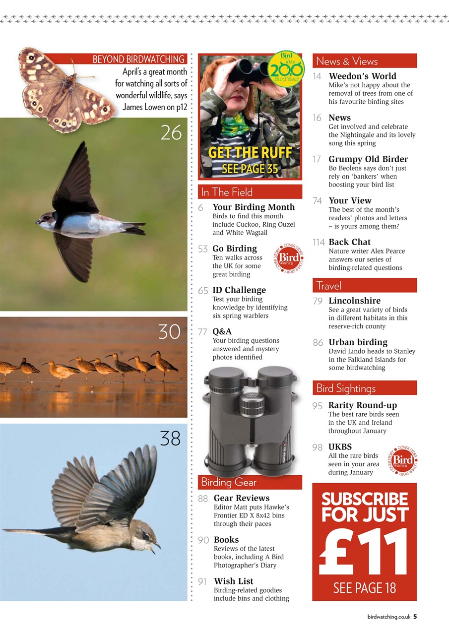 Bird Watching Preview Pages