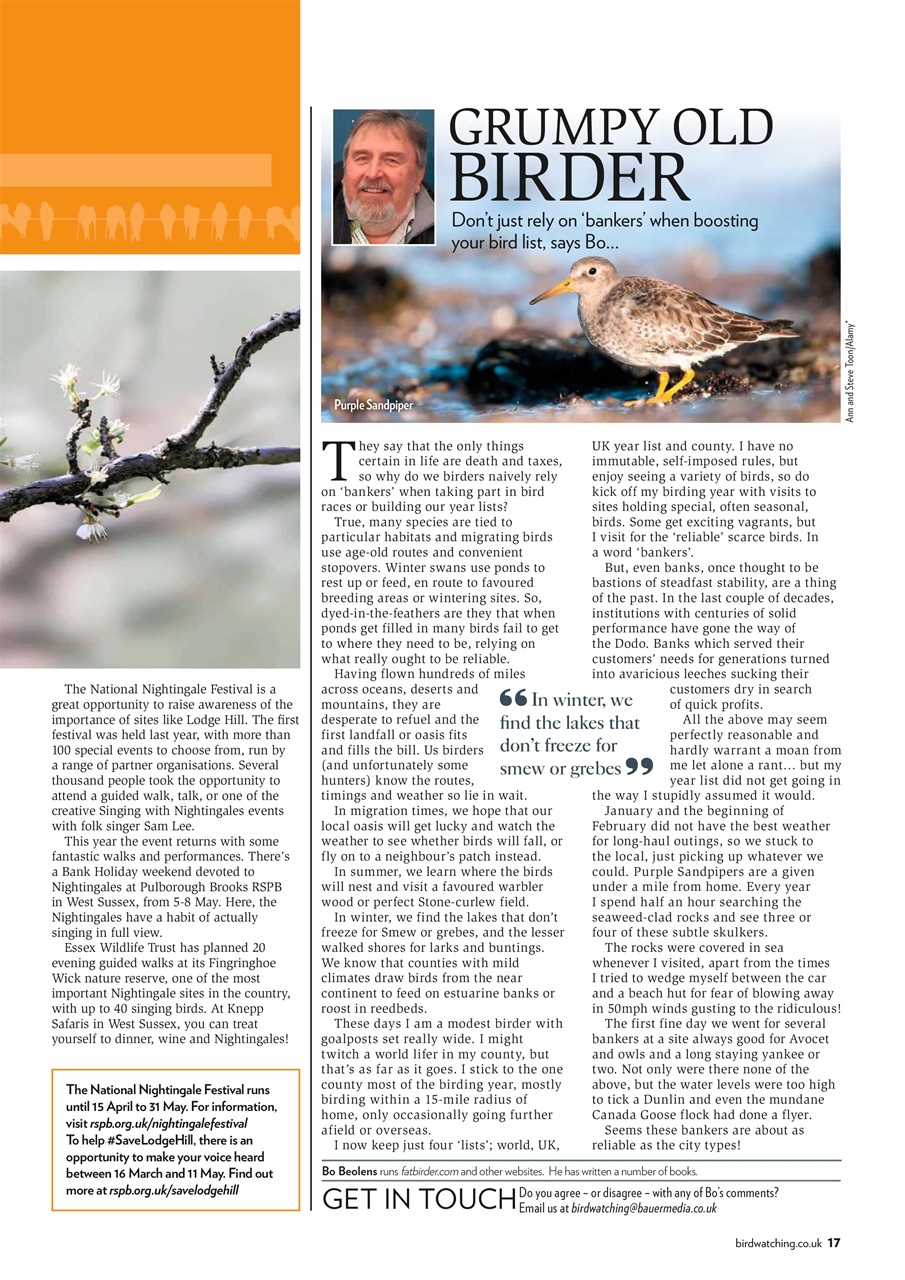 Bird Watching Preview Pages