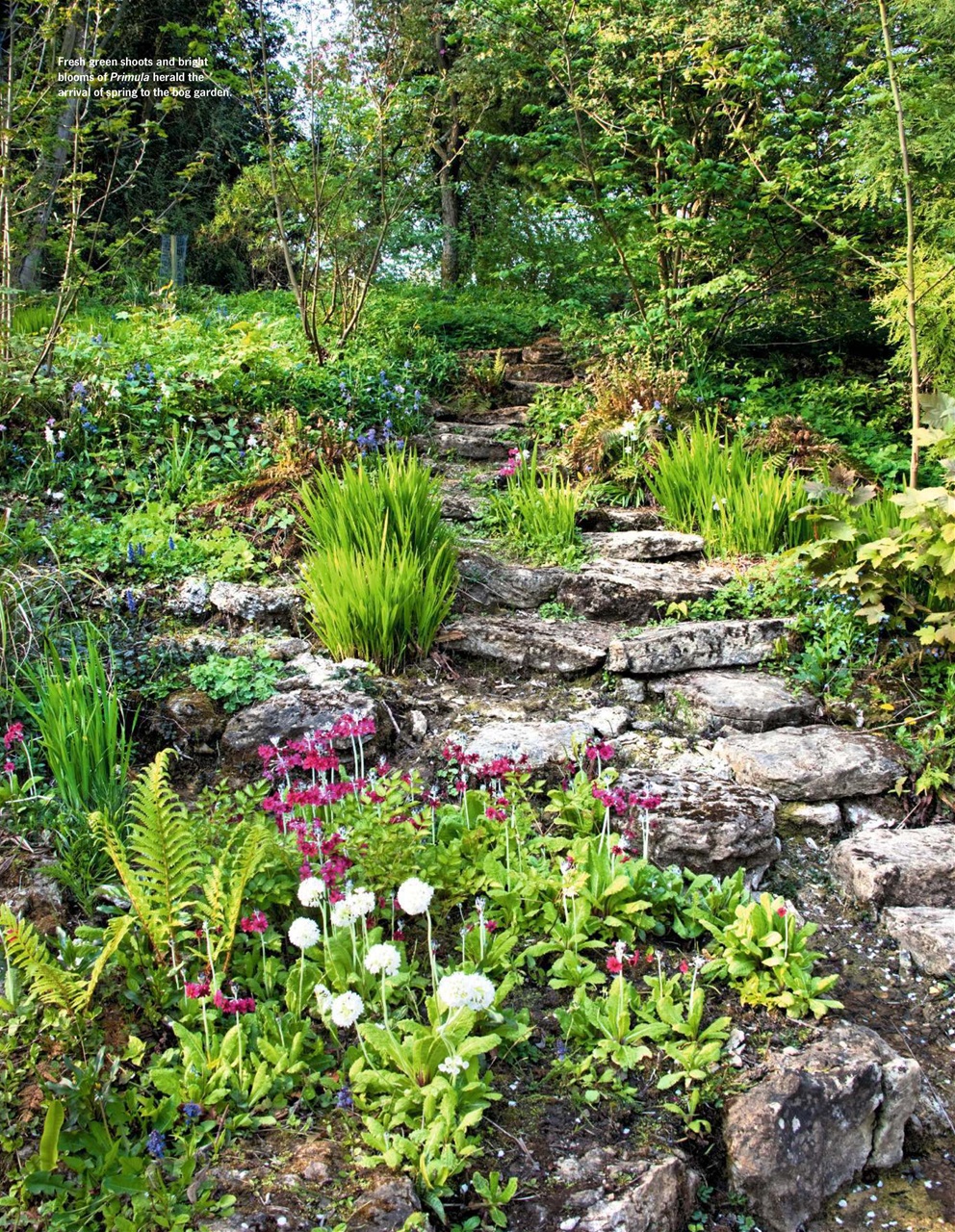 LandScape Preview Pages