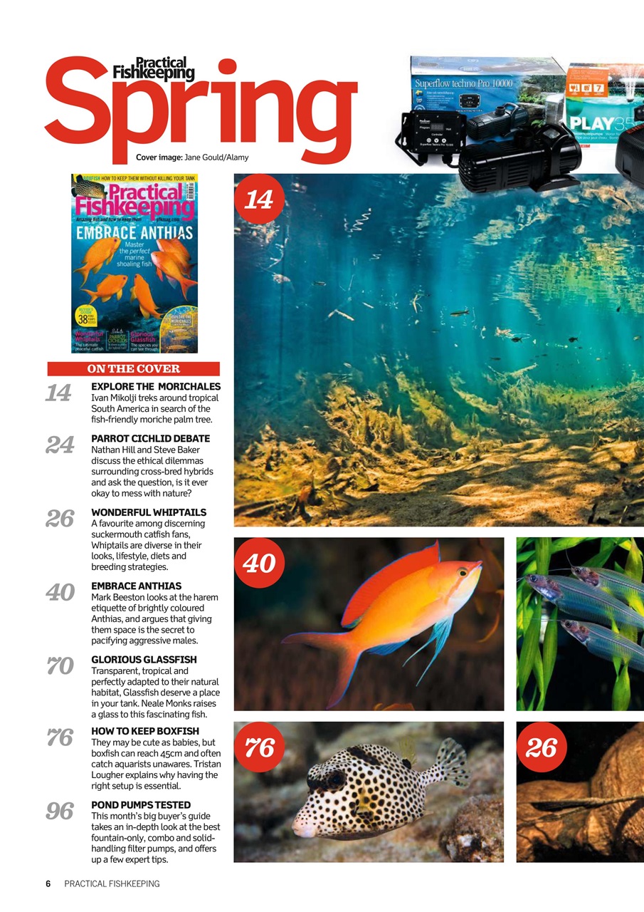 Practical Fishkeeping Preview Pages