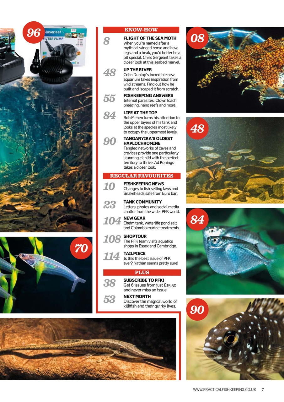 Practical Fishkeeping Preview Pages