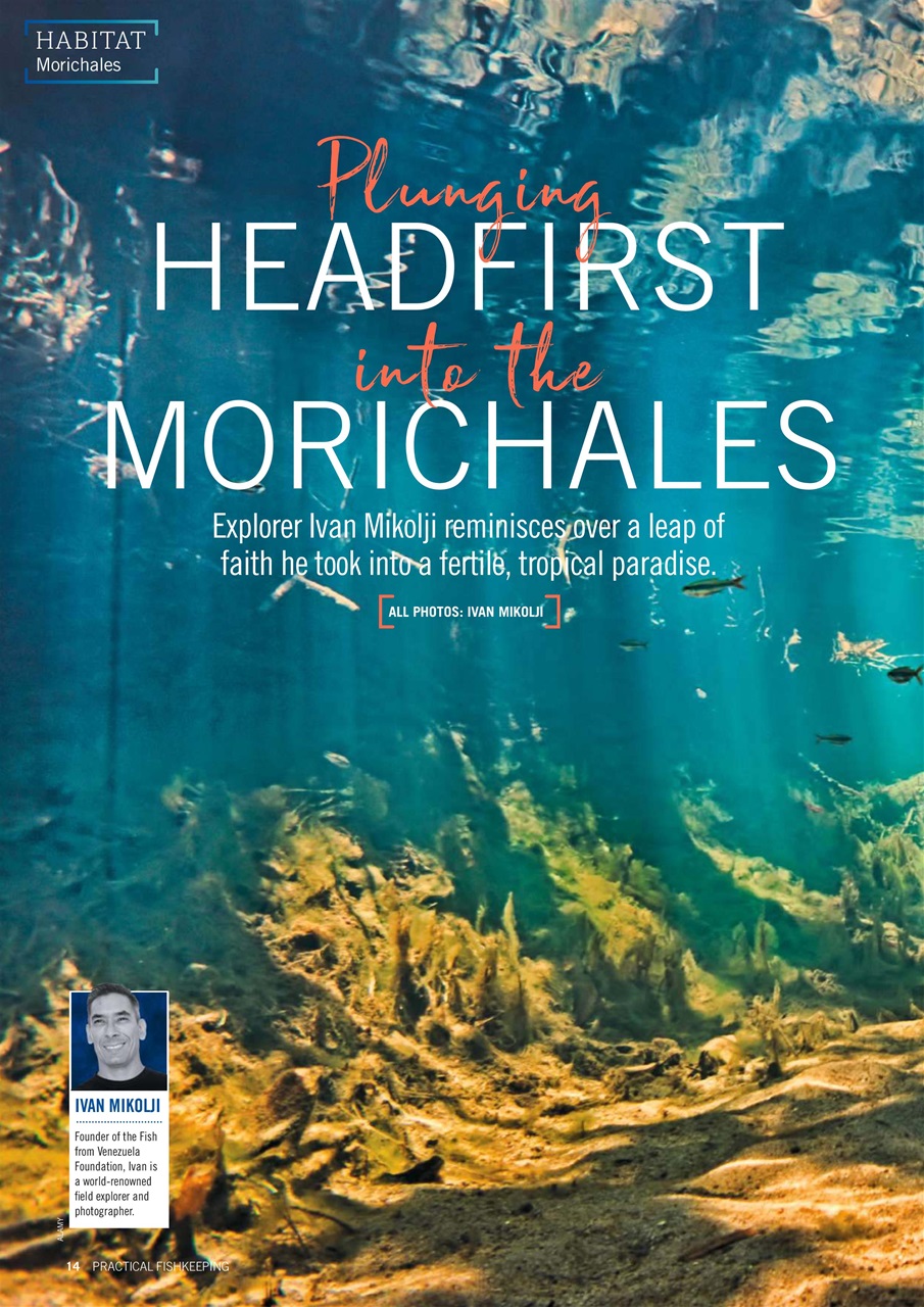 Practical Fishkeeping Preview Pages